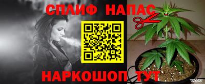 прущие грибы Пенза