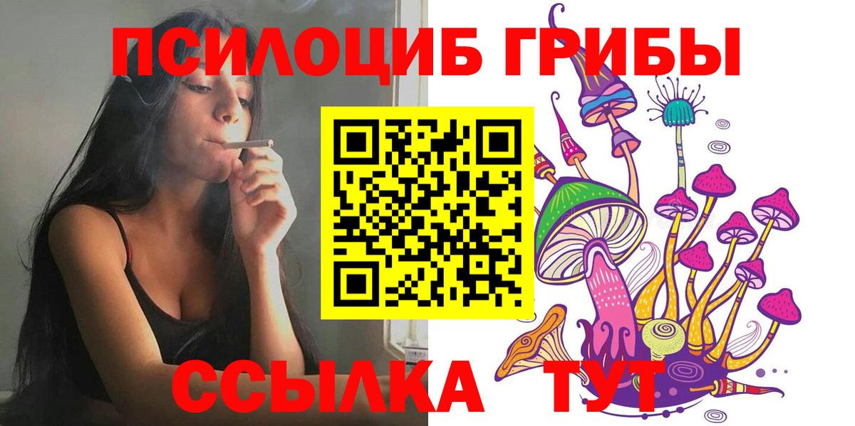 Псилоцибиновые грибы мицелий Хабаровск