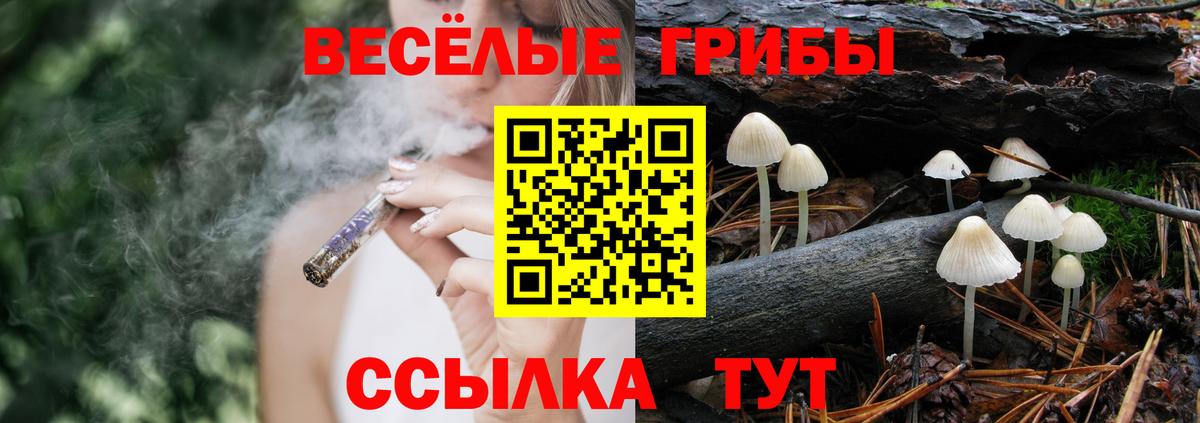 Псилоцибиновые грибы Cubensis  Галлюциногенные грибы GOLDEN TEACHER  Вход с VPN  Хабаровск 